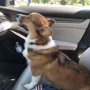 Meet your Posher, Edith